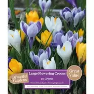 Crocus Mix - 20 Bulbs
