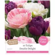 Tulips Double Delight - 10 Bulbs