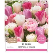 Tulip Romantic Blush - 10 Bulbs