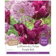 Allium & Tulip Purple Ball Mix - 10 Bulbs