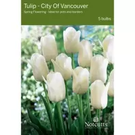 Notcutts Tulip City Of Vancouver