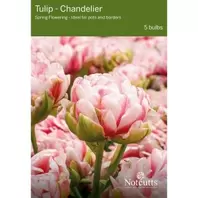 Notcutts Tulip Chandelier