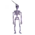 Halloween Hanging Skeleton Decoration - Purple