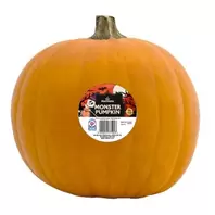 Morrisons Monster Pumpkin 24 - 28cm