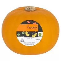 Morrisons Pumpkin