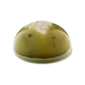 Frog Spawn Squidge