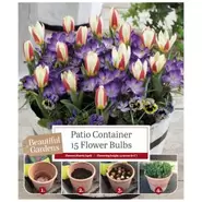 Patio Container Tulip And Crocus - 15 Bulbs