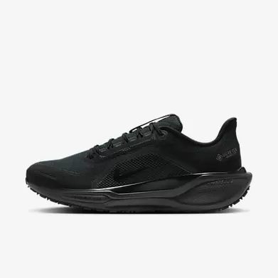 Nike Pegasus 41 GORE-TEX
