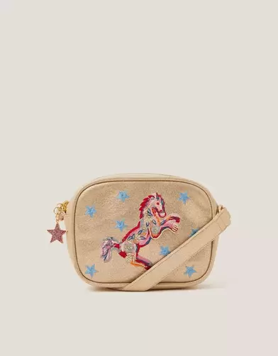 Rodeo Embroidered Crossbody Bag