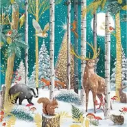Woodland Scene 10 Cards