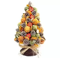Pinecone & Fruit Tree - 25cm
