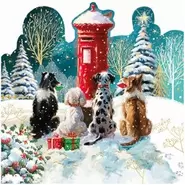 Waiting For The Postman 10 Cards
