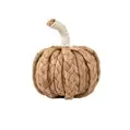 Small Wicker Pumpkin