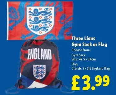 Gym Sack or Flag