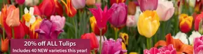 Thompson & Morgan catalogue in Birmingham | 20% Off All Tulips | 2025-08-22T00:00:00.000Z - 2025-09-10T00:00:00.000Z