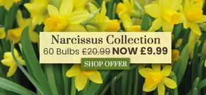 Dobbies Garden Centre catalogue in Havant | Narcissus Collection  | 2025-08-29T00:00:00.000Z - 2025-09-09T00:00:00.000Z