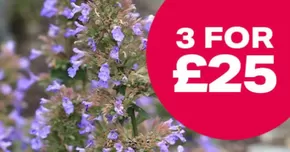 Webbs catalogue in Brighton | 3 For £25 | 2025-08-29T00:00:00.000Z - 2025-09-16T00:00:00.000Z