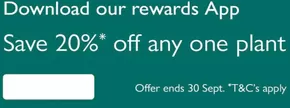 Save 20% Off Any One Plant
