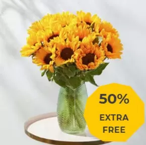 Flying Flowers catalogue in Bournemouth | 50% Extra | 2025-09-02T00:00:00.000Z - 2025-09-16T00:00:00.000Z