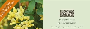Dobbies Garden Centre catalogue in Appley Bridge | Deal of the Week! | 2025-09-18T00:00:00.000Z - 2025-09-26T00:00:00.000Z