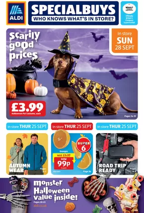 Aldi catalogue in Welshpool | Great discounts on selected products | 2025-09-19T00:00:00.000Z - 2025-10-03T00:00:00.000Z