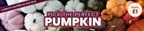 Hobbycraft catalogue in Lincoln | Pick The Perfect Pumpkin | 2025-09-23T00:00:00.000Z - 2025-10-02T00:00:00.000Z