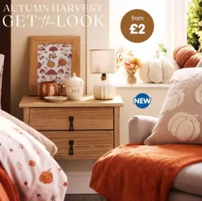 B&M Stores catalogue in Harlow | Autumn Harvest Get The Look! | 2025-09-24T00:00:00.000Z - 2025-10-22T00:00:00.000Z