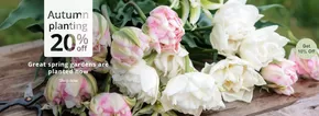 Crocus catalogue | AUtumn Planting 20% Off | 2025-09-26T00:00:00.000Z - 2025-10-20T00:00:00.000Z