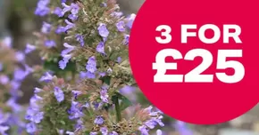 Webbs catalogue in Helston | 3 For £25! | 2025-09-26T00:00:00.000Z - 2025-10-25T00:00:00.000Z