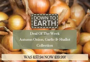 Dobbies Garden Centre catalogue in Newbury | Down To Earth | 2025-09-30T00:00:00.000Z - 2025-10-22T00:00:00.000Z