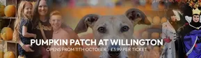 Frosts Garden Centres catalogue in Enniskillen | Pumpink Patch At Willington | 2025-10-01T00:00:00.000Z - 2025-10-13T00:00:00.000Z