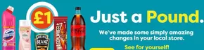 Poundland catalogue in Basildon | Just A Pound  | 2025-10-06T00:00:00.000Z - 2025-10-13T00:00:00.000Z