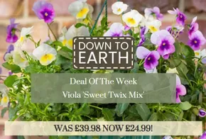 Dobbies Garden Centre catalogue in Melton Mowbray | Down To Earth! | 2025-10-08T00:00:00.000Z - 2025-10-25T00:00:00.000Z