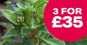 Webbs catalogue in Melton Mowbray | 3 For £35 | 2025-10-08T00:00:00.000Z - 2025-10-29T00:00:00.000Z