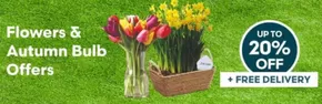Robert Dyas catalogue in Immingham | Flowers & Autumn Bulb Offers | 2025-10-08T00:00:00.000Z - 2025-10-20T00:00:00.000Z