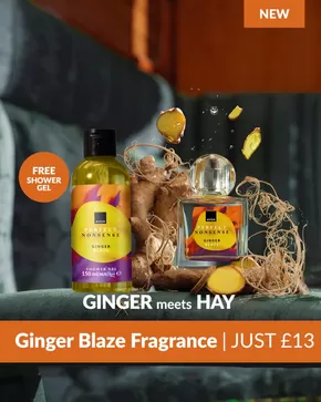 Avon catalogue in Jedburgh | Ginger Blaze Fragrance | 2025-10-09T00:00:00.000Z - 2025-10-20T00:00:00.000Z