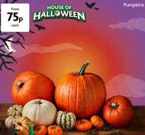 Morrisons catalogue in Sutton Coldfield | Hosen Of Halloween | 2025-10-17T00:00:00.000Z - 2025-11-11T00:00:00.000Z