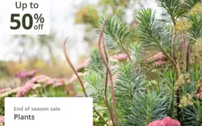 Crocus catalogue in Perth | Plants | 2025-10-21T00:00:00.000Z - 2025-11-10T00:00:00.000Z