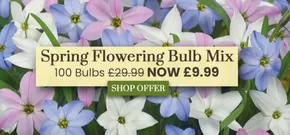 Dobbies Garden Centre catalogue in London | Spring Flowering Bulb Mix | 2025-10-22T00:00:00.000Z - 2025-11-26T00:00:00.000Z