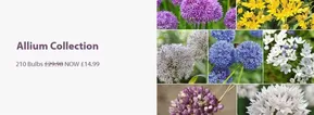 Thompson & Morgan catalogue in Bolton | Allium Collection | 2025-10-23T00:00:00.000Z - 2025-11-03T00:00:00.000Z