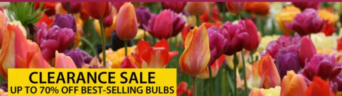 Thompson & Morgan catalogue in Brighton | Clearance Sale | 2025-11-13T00:00:00.000Z - 2025-11-17T00:00:00.000Z