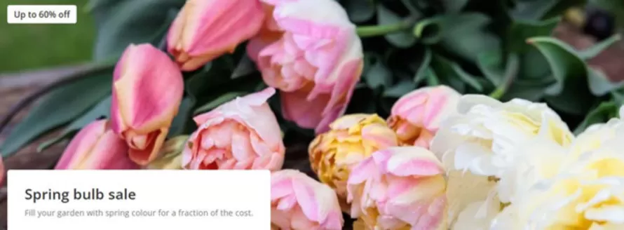 Crocus catalogue in Cambridge | Spring Bulb Sale | 2025-11-19T00:00:00.000Z - 2025-12-01T00:00:00.000Z