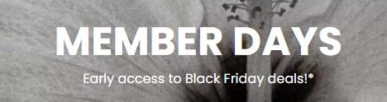 Roxy catalogue | Members Days | 2025-11-21T00:00:00.000Z - 2025-12-04T00:00:00.000Z