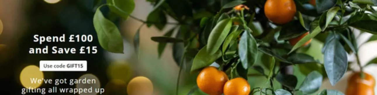 Crocus catalogue in Brighton | Spend £100 And Save £15 | 2025-12-04T00:00:00.000Z - 2025-12-23T00:00:00.000Z