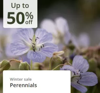 Crocus catalogue in Glasgow | Up To 50% Off` | 2025-12-24T00:00:00.000Z - 2026-01-08T00:00:00.000Z