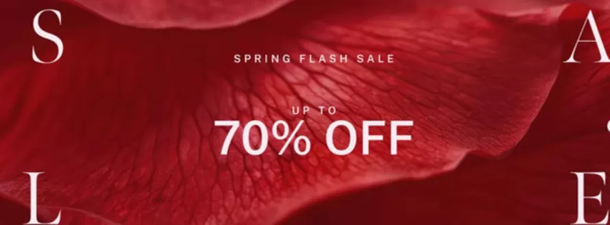 Dorothy Perkins catalogue | Spring Flash Sale Up To 70% Off | 2026-02-17T00:00:00.000Z - 2026-03-08T00:00:00.000Z