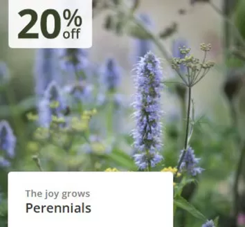 Crocus catalogue in Horwich | 20% Off`  | 2026-02-24T00:00:00.000Z - 2026-03-16T00:00:00.000Z