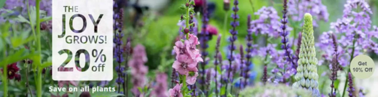 Crocus catalogue in Horwich | The Joy Grows! 20% Off | 2026-02-24T00:00:00.000Z - 2026-03-20T00:00:00.000Z