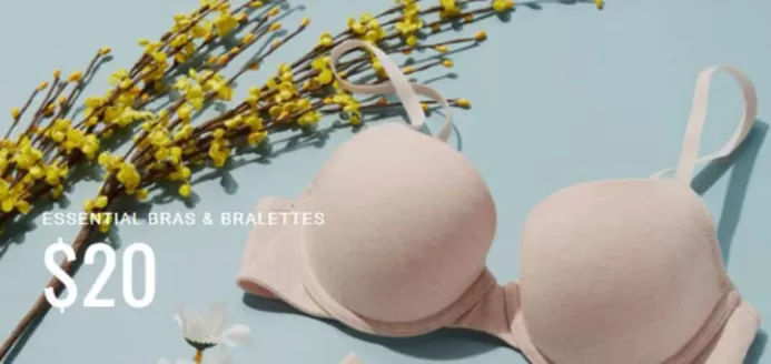 La Senza catalogue in Bicester | Lounge | 2026-03-10T00:00:00.000Z - 2026-03-30T00:00:00.000Z