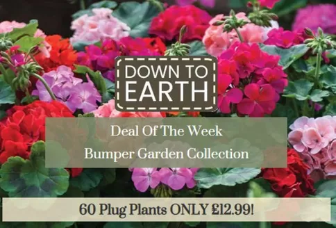 Dobbies Garden Centre catalogue in Kensington-Chelsea | Down To Earth | 2026-03-12T00:00:00.000Z - 2026-03-26T00:00:00.000Z